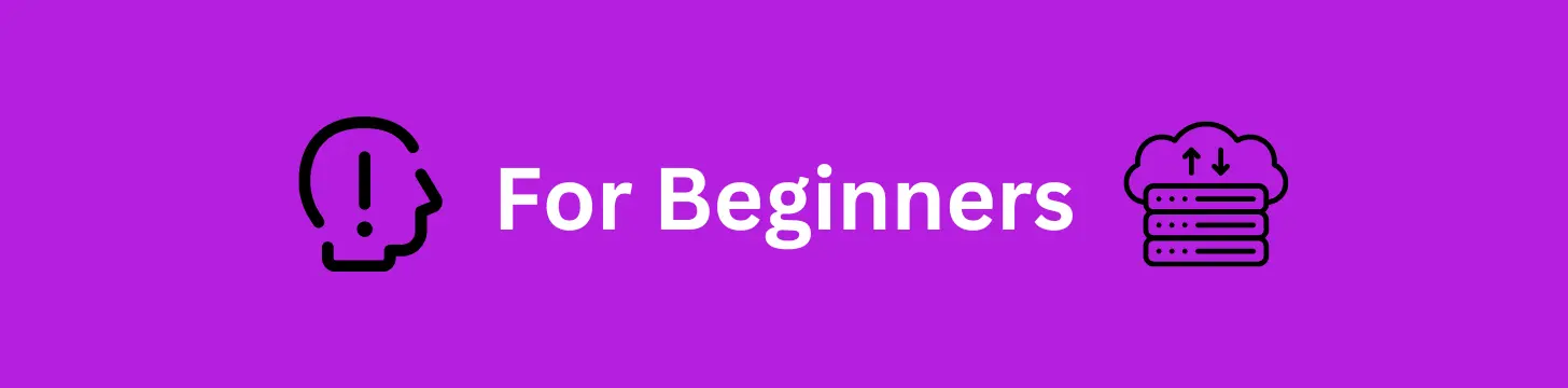 Beginner Hosting: Easiest setup process and user-friendly features to get you started quickly.