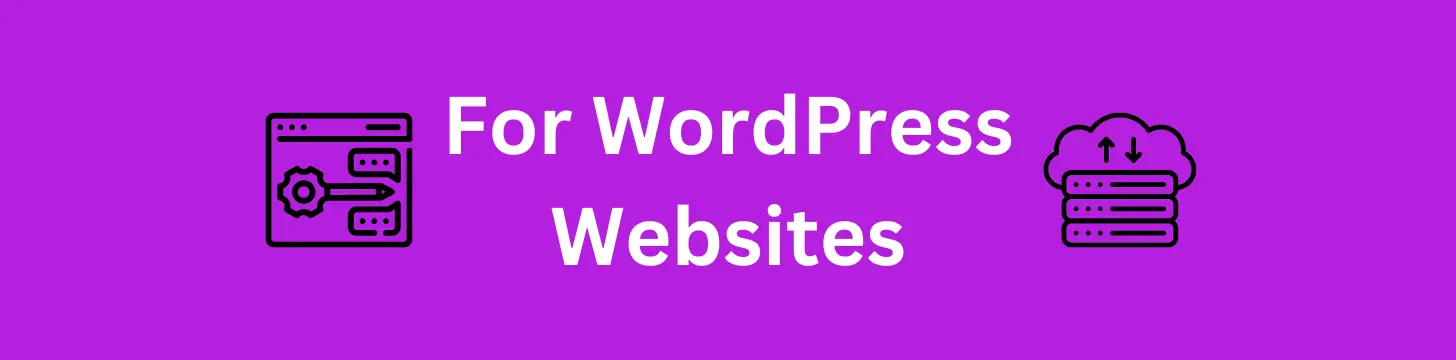 WordPress Hosting: Optimized performance and security specifically for WordPress websites.